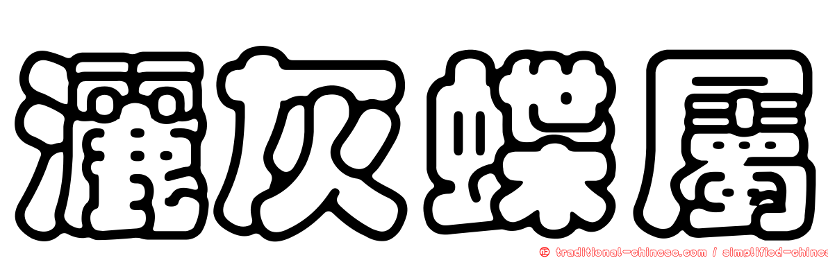 灑灰蝶屬