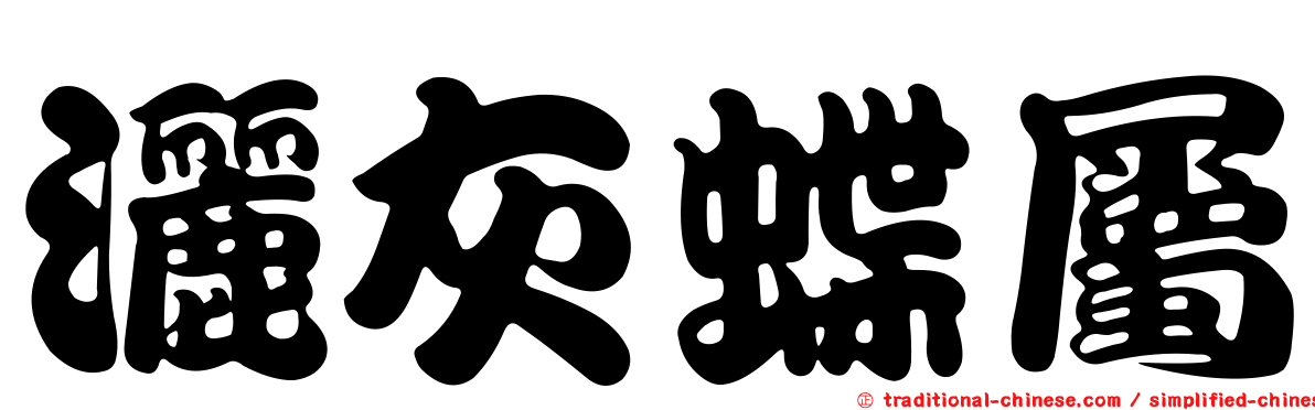 灑灰蝶屬