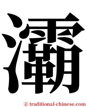 灞 serif font