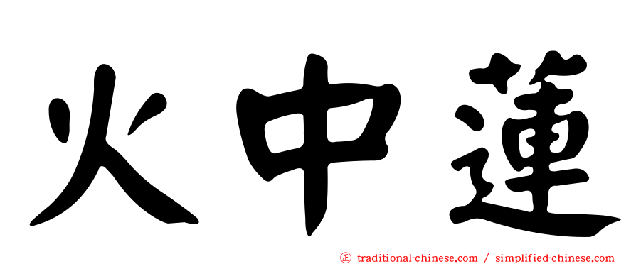 火中蓮