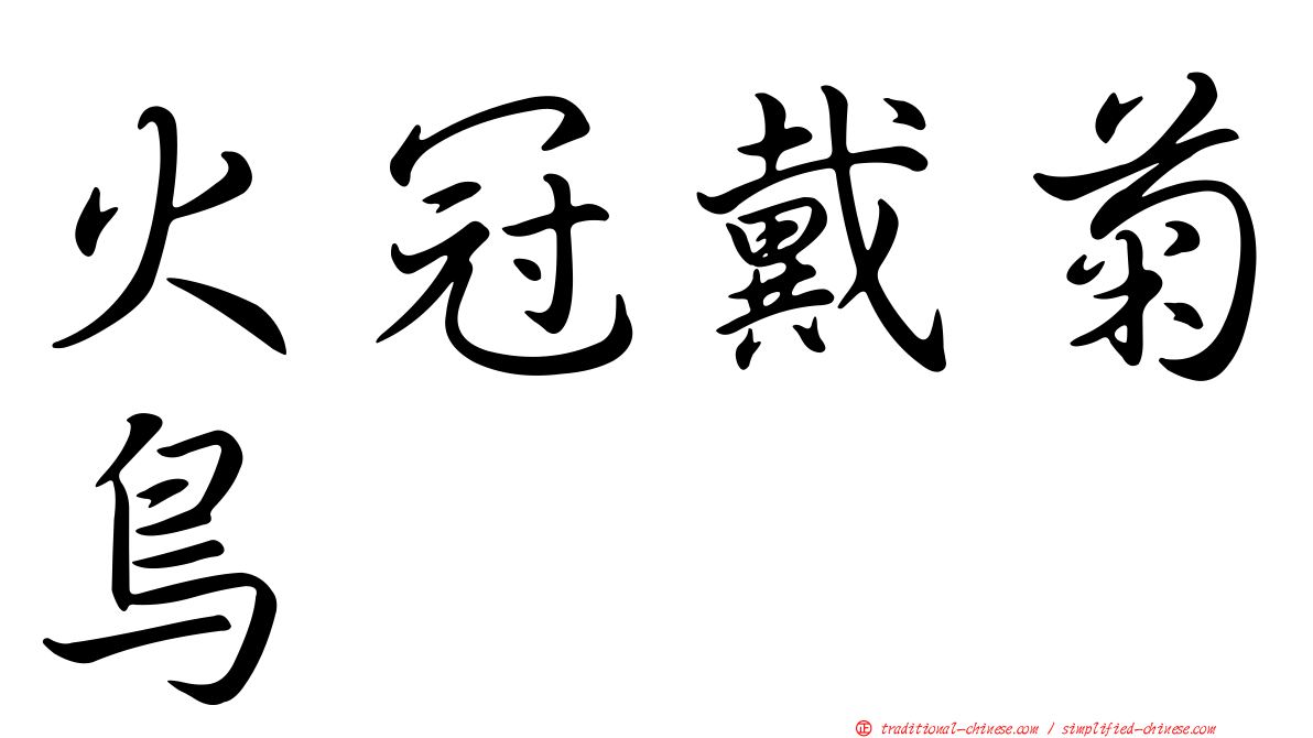 火冠戴菊鳥