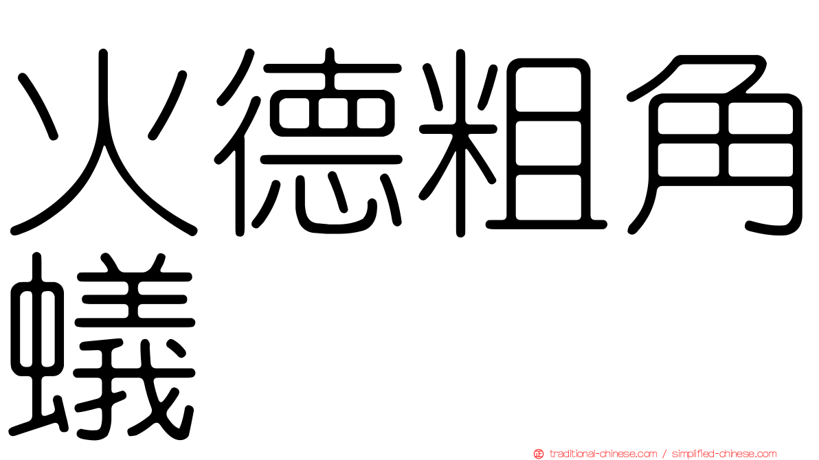 火德粗角蟻