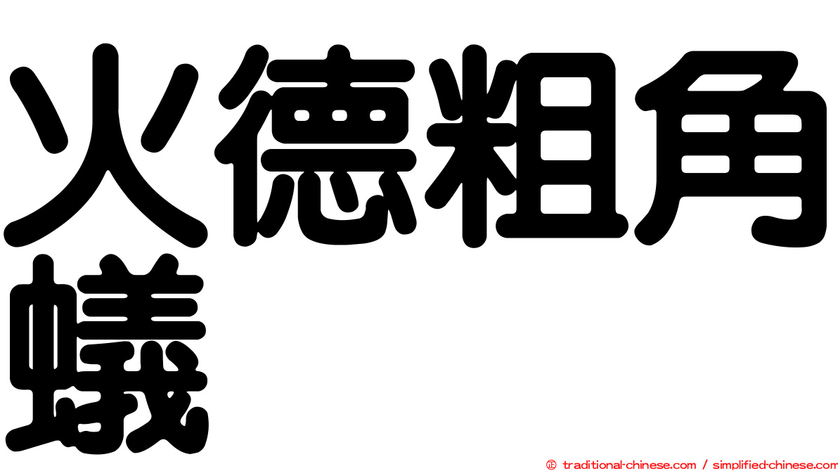 火德粗角蟻