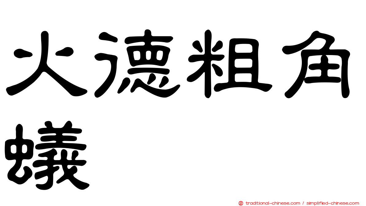 火德粗角蟻