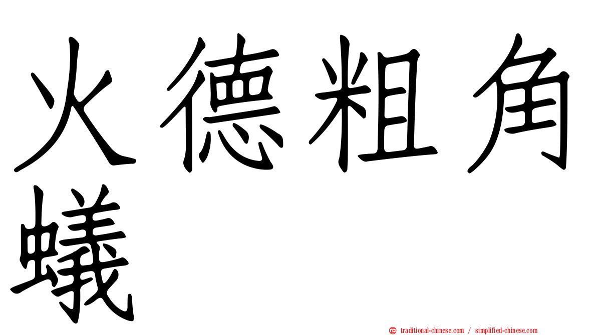 火德粗角蟻