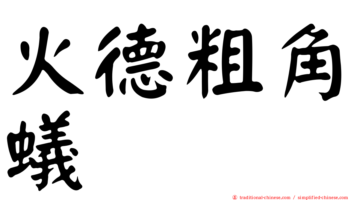 火德粗角蟻