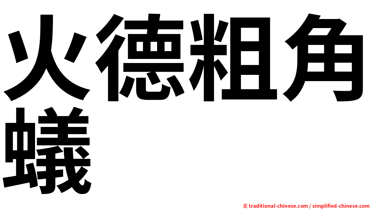 火德粗角蟻