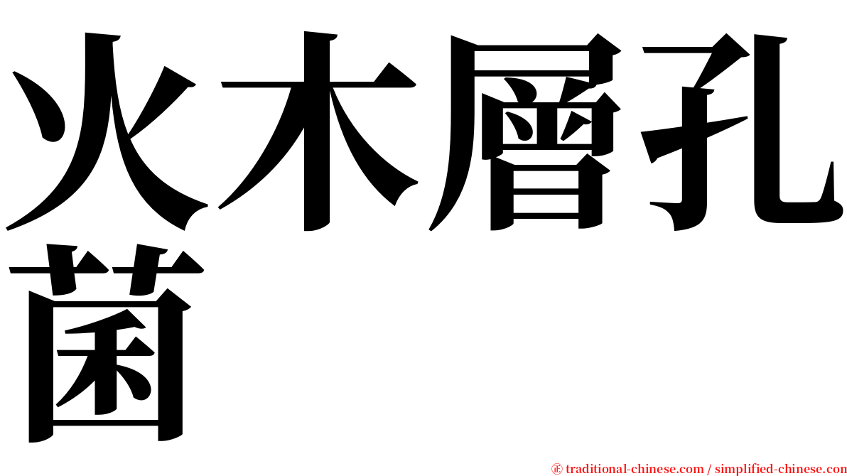 火木層孔菌 serif font