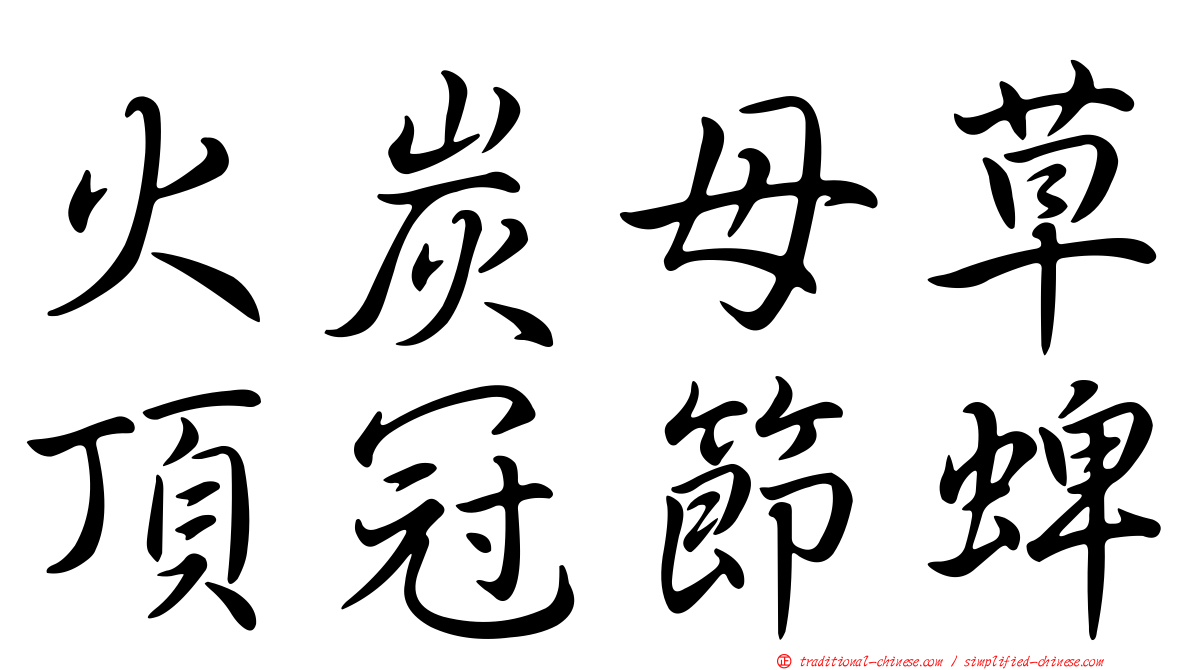 火炭母草頂冠節蜱
