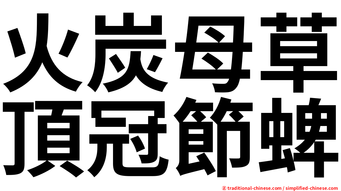火炭母草頂冠節蜱