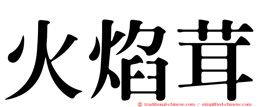 火焰茸