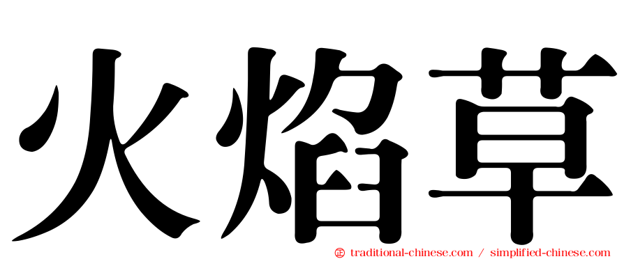 火焰草
