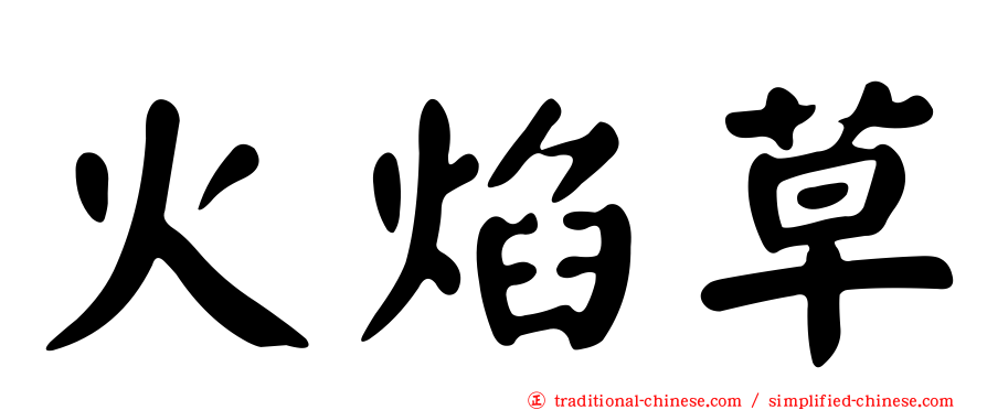 火焰草