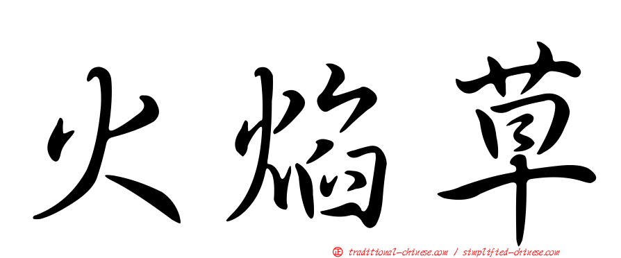 火焰草