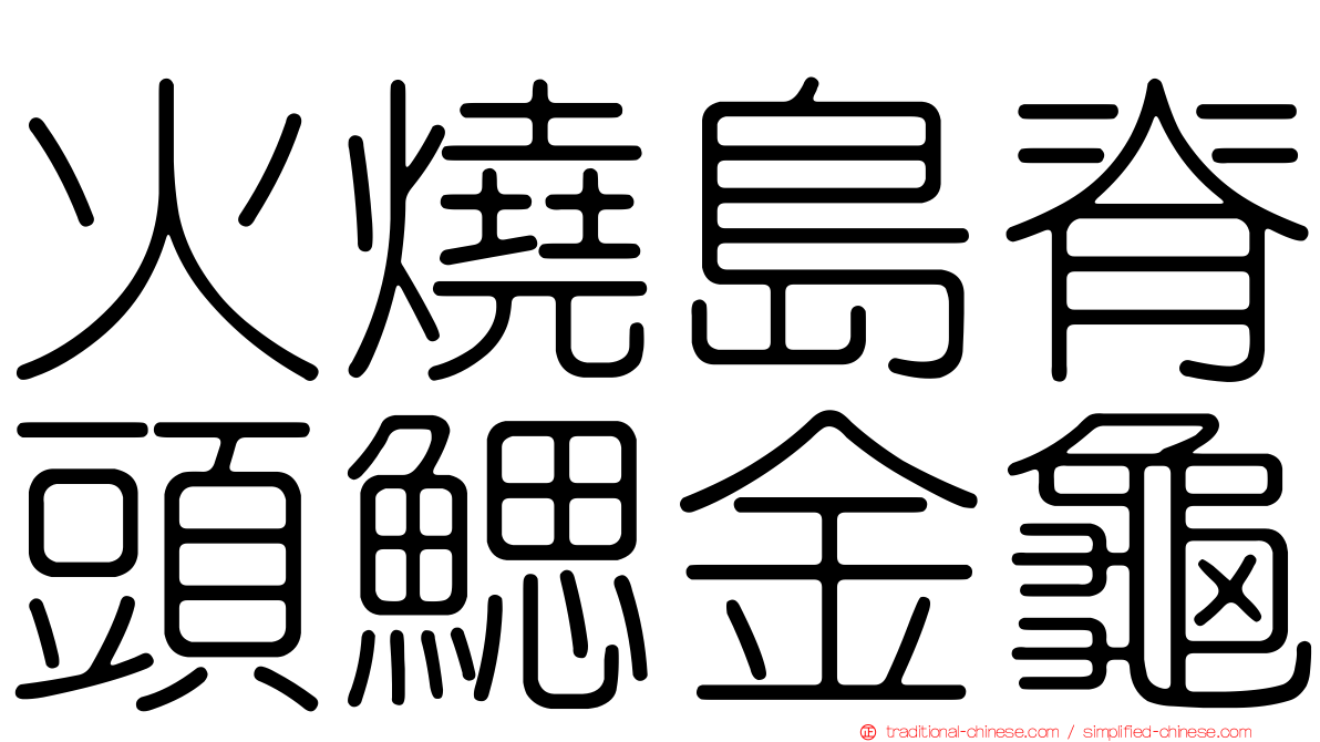 火燒島脊頭鰓金龜