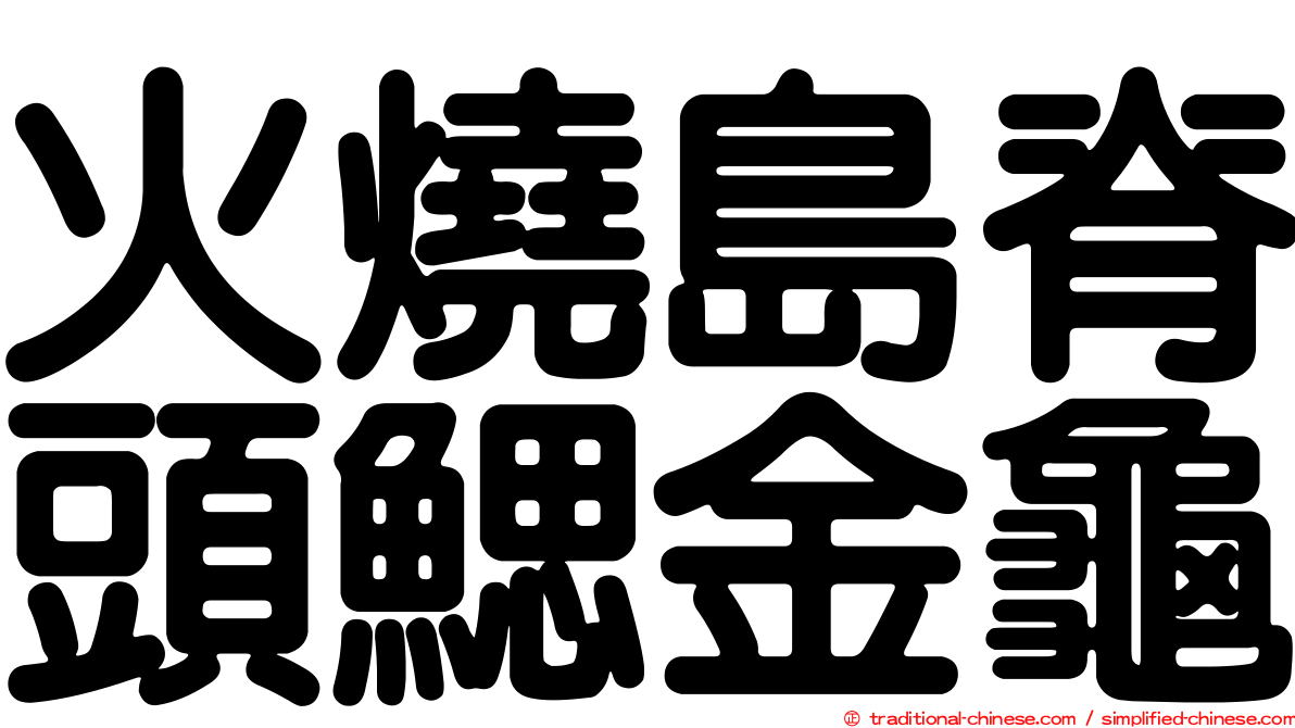 火燒島脊頭鰓金龜