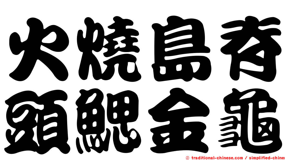 火燒島脊頭鰓金龜