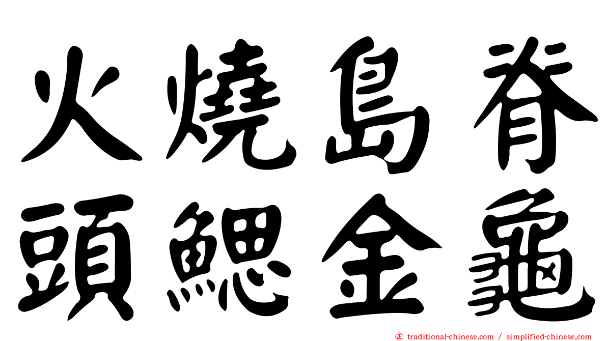 火燒島脊頭鰓金龜