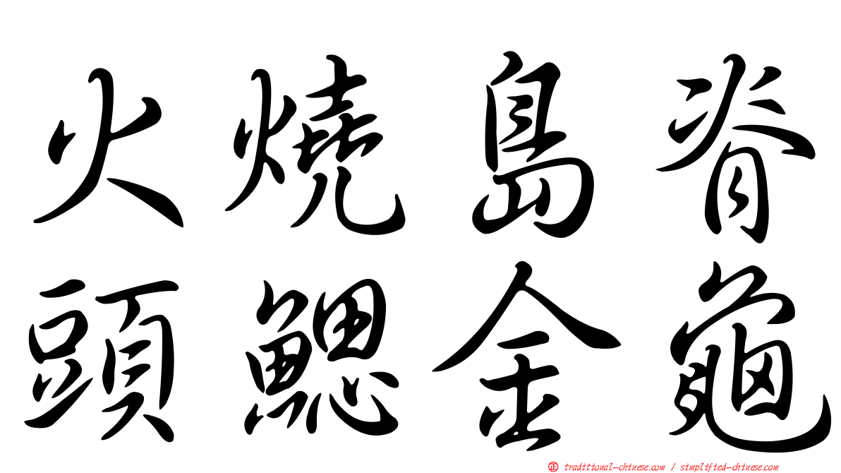 火燒島脊頭鰓金龜