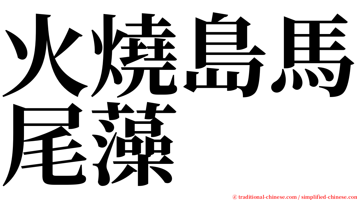 火燒島馬尾藻 serif font