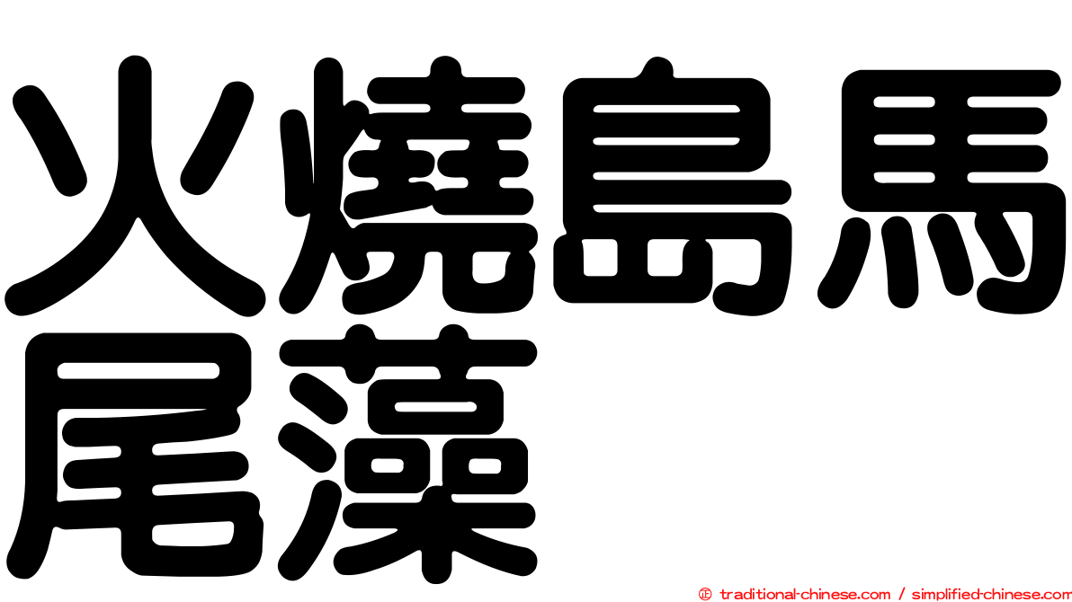 火燒島馬尾藻