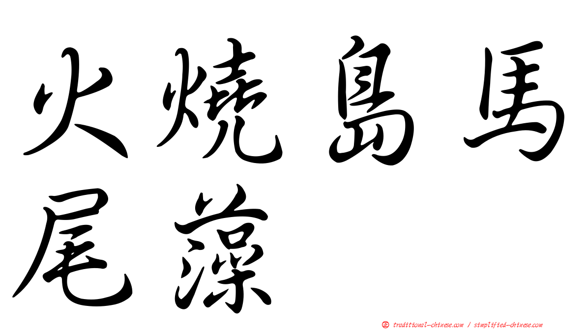 火燒島馬尾藻