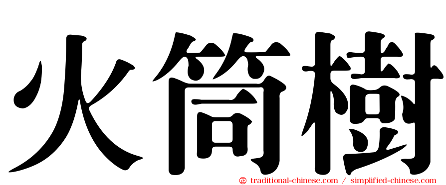 火筒樹