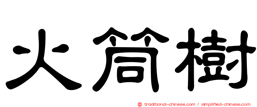火筒樹