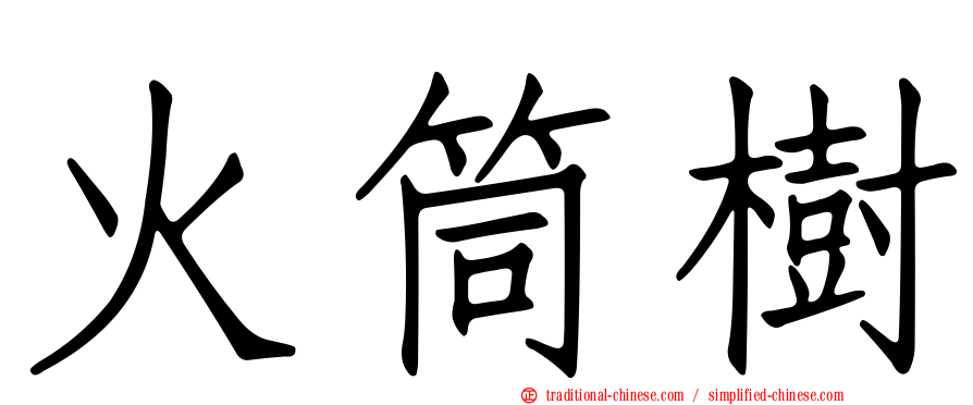 火筒樹