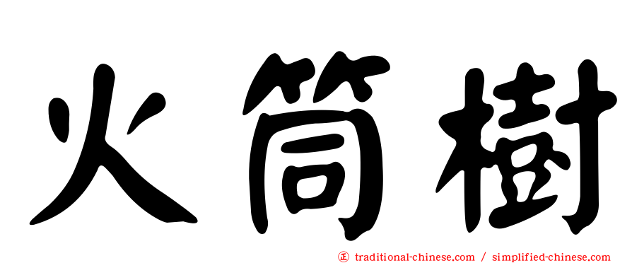 火筒樹