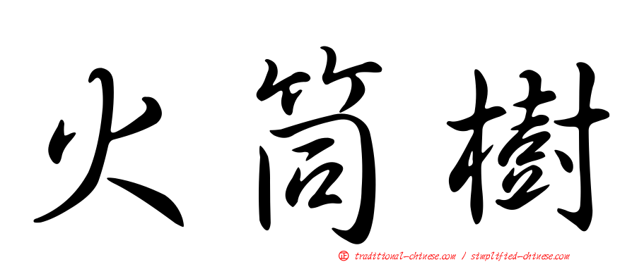 火筒樹