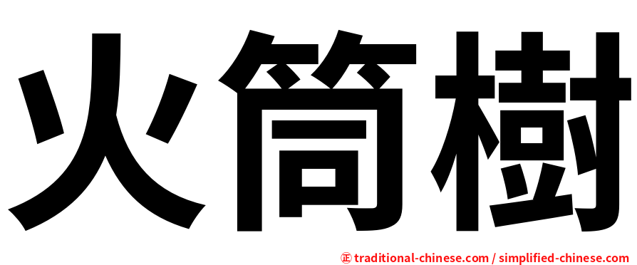 火筒樹