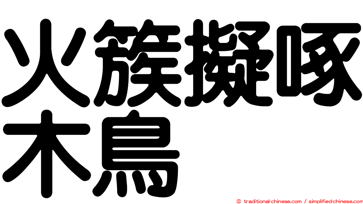 火簇擬啄木鳥