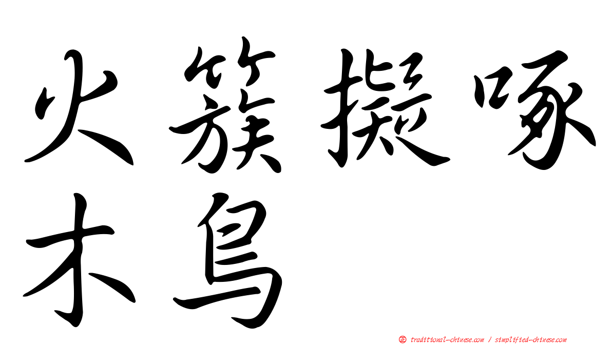 火簇擬啄木鳥