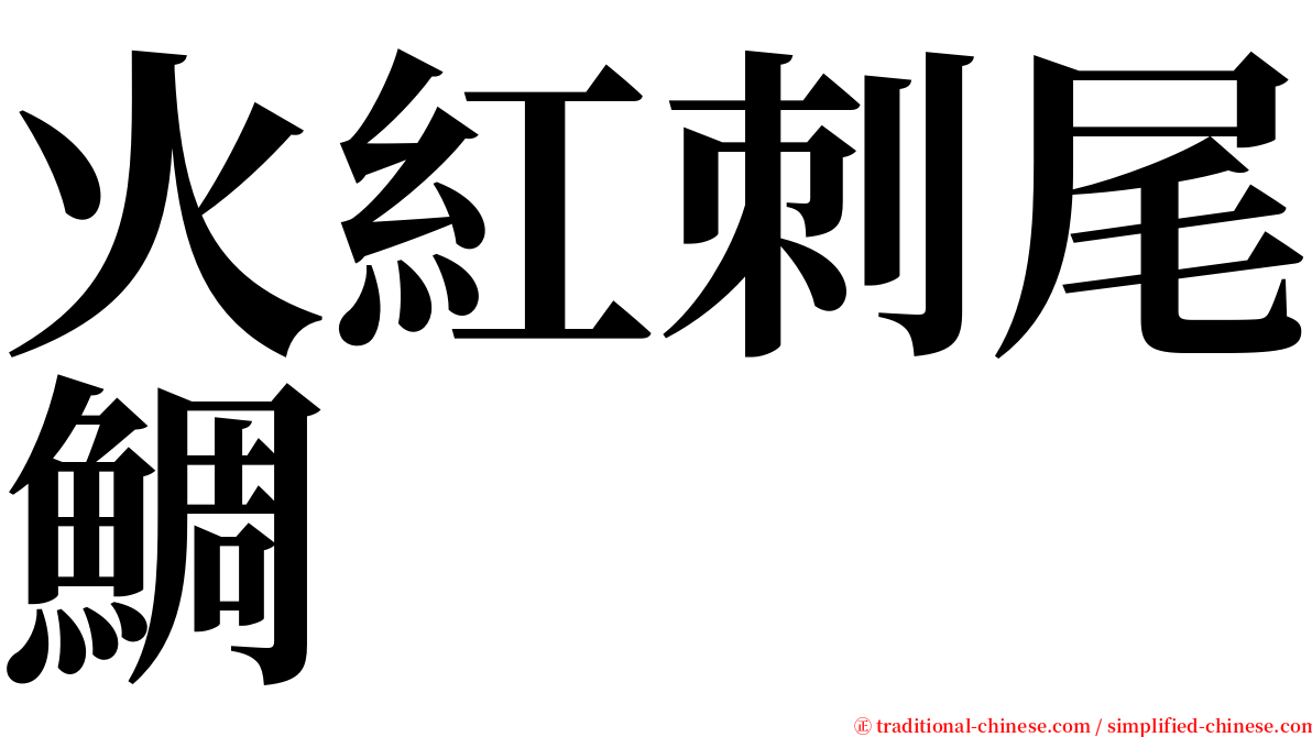 火紅刺尾鯛 serif font