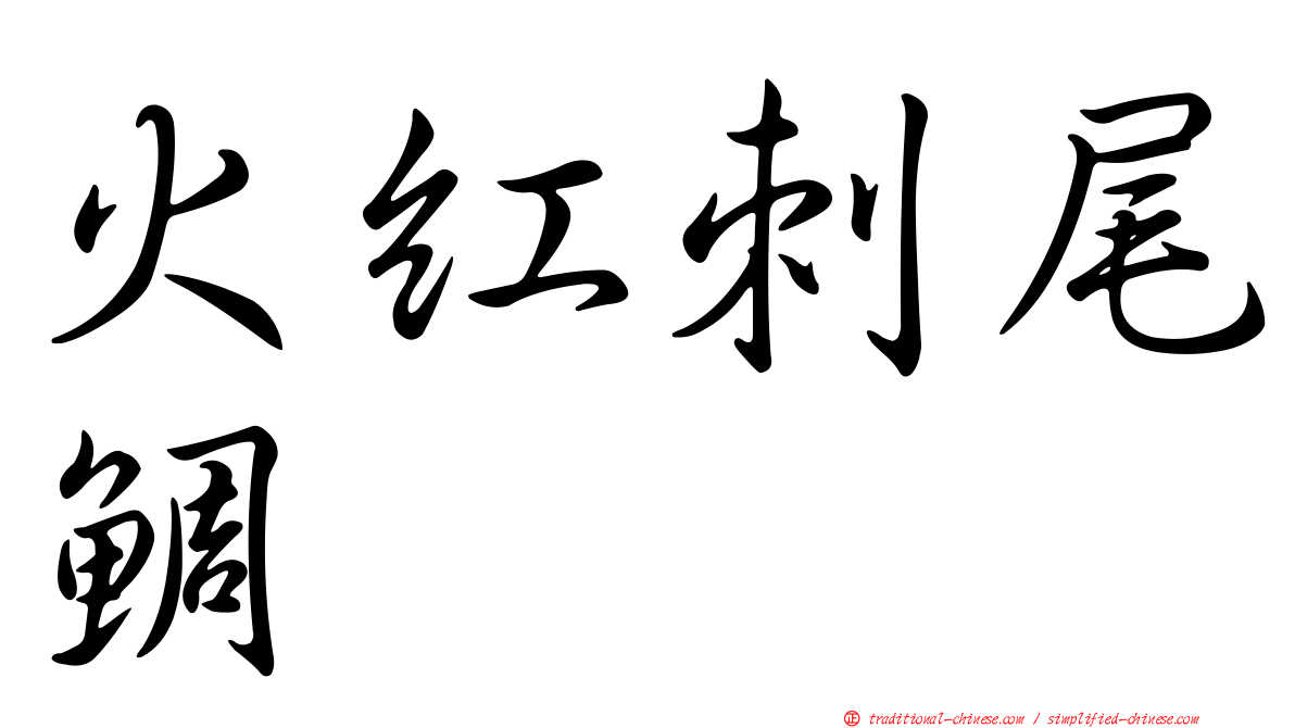 火紅刺尾鯛