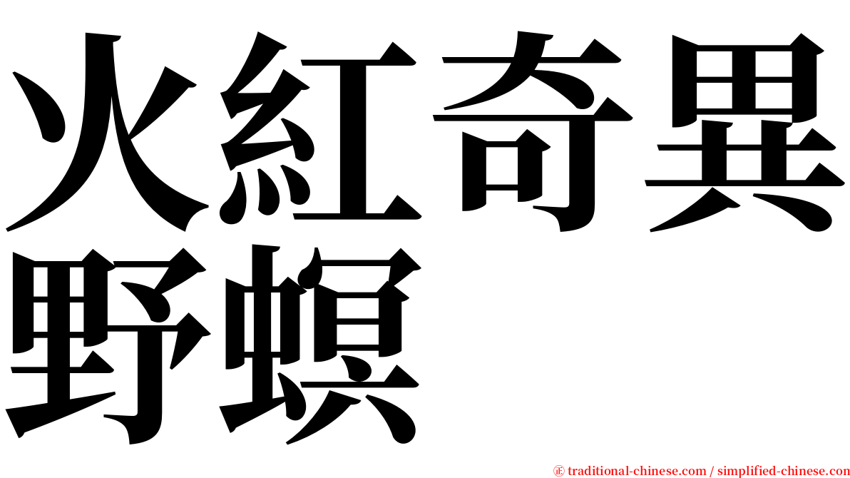火紅奇異野螟 serif font