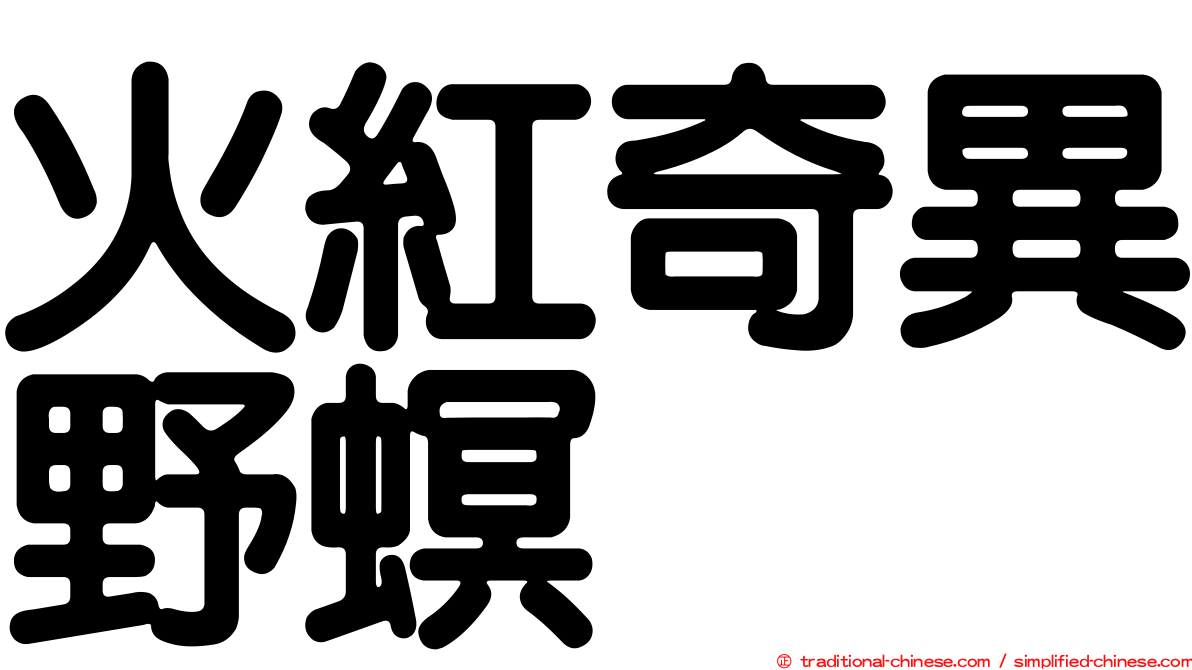火紅奇異野螟