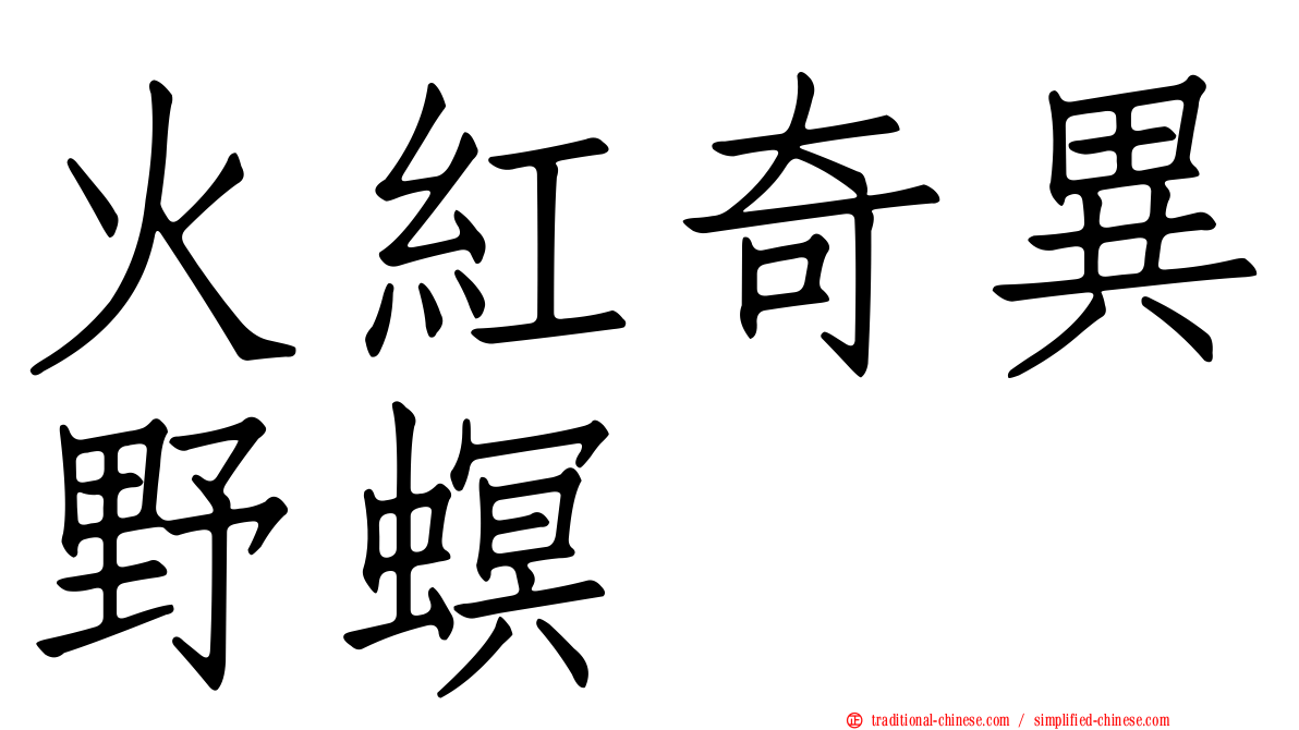 火紅奇異野螟