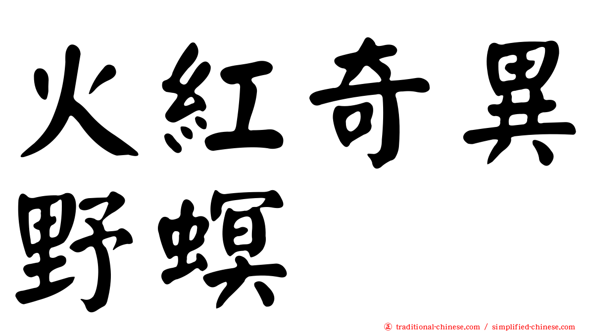 火紅奇異野螟