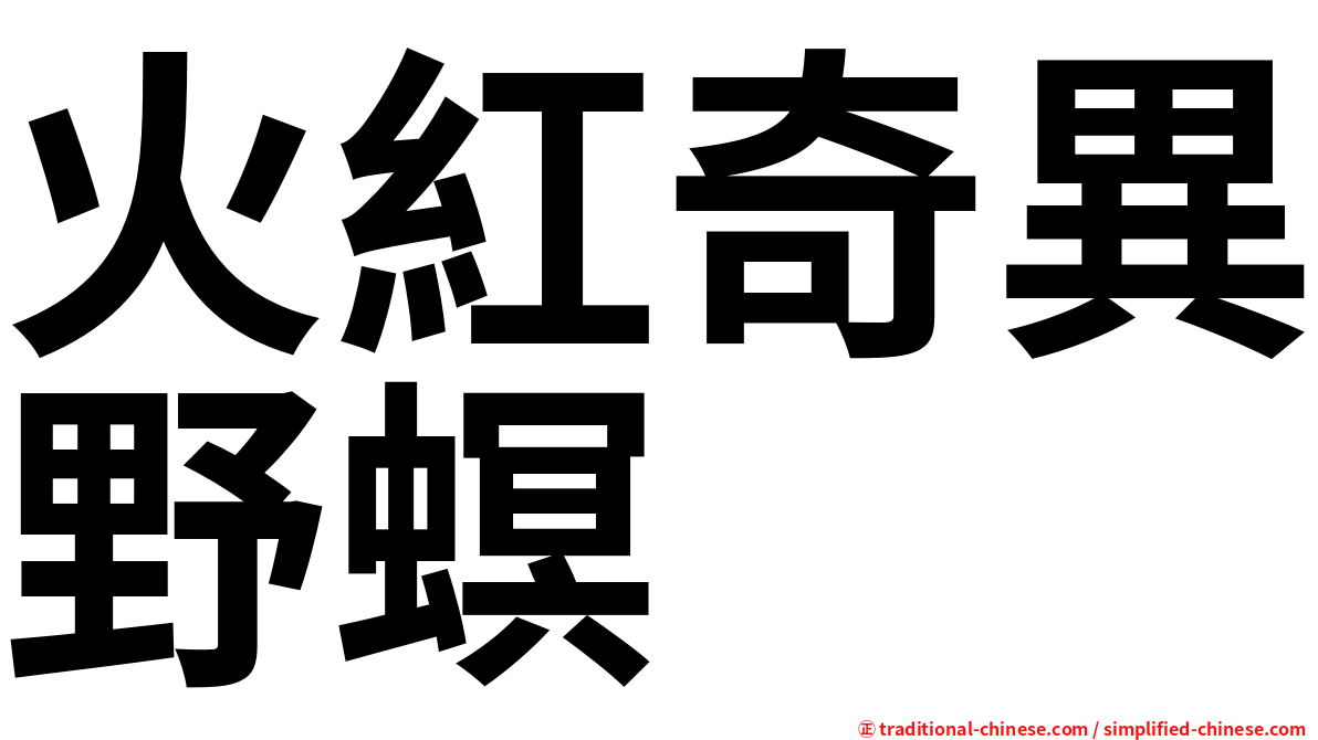 火紅奇異野螟