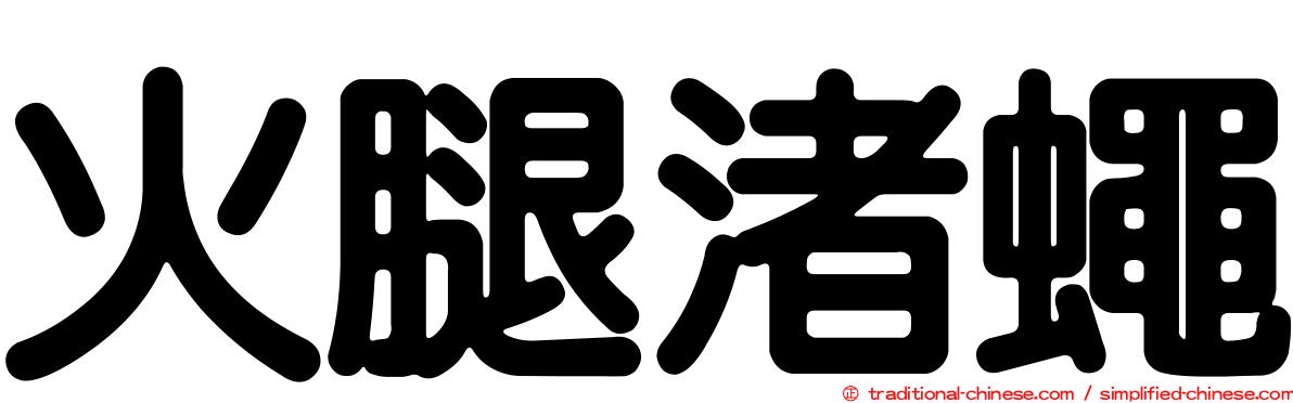 火腿渚蠅