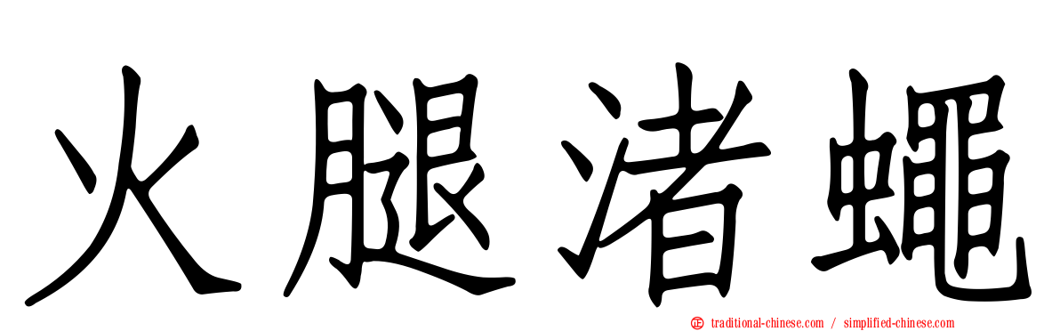 火腿渚蠅