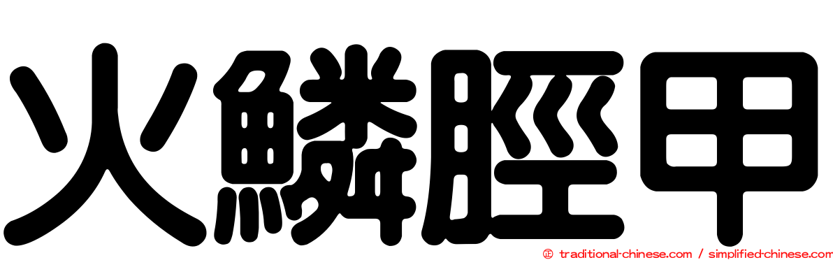 火鱗脛甲