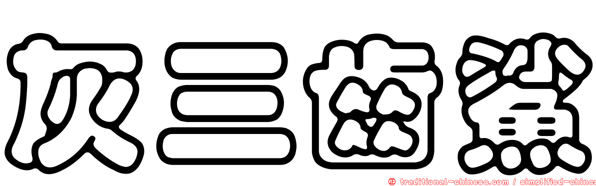 灰三齒鯊