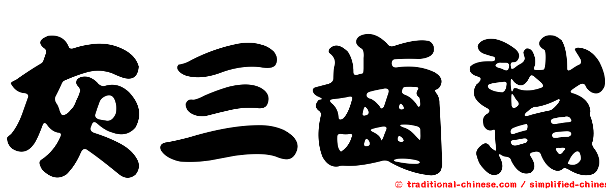 灰三齒鯊