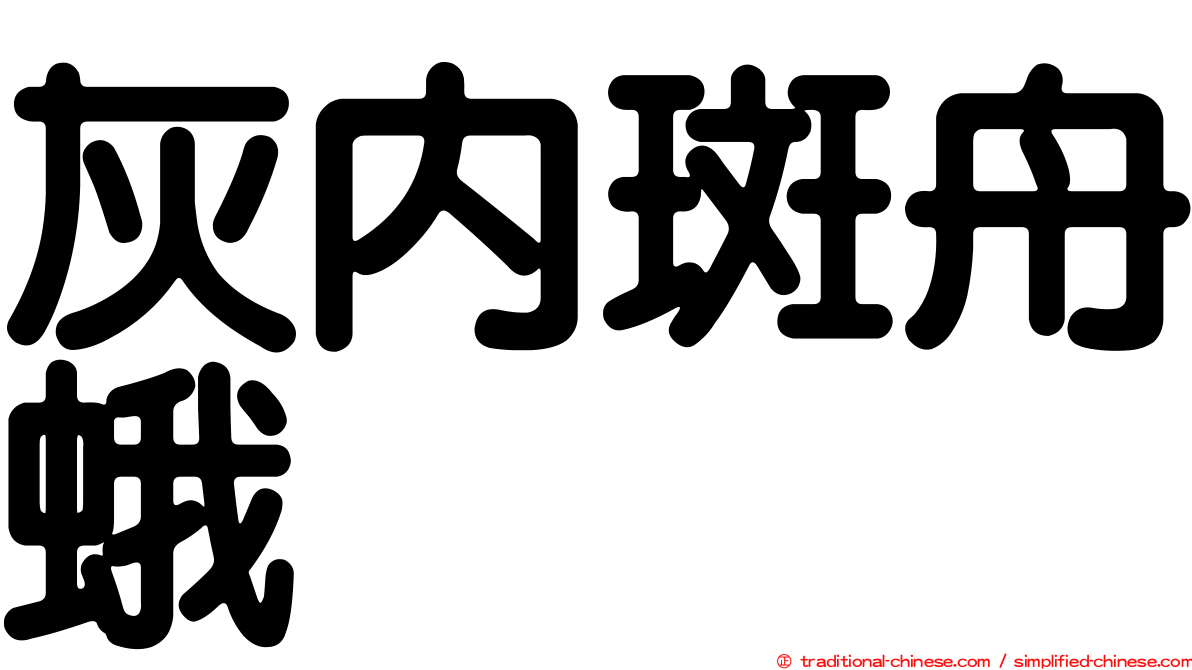 灰內斑舟蛾