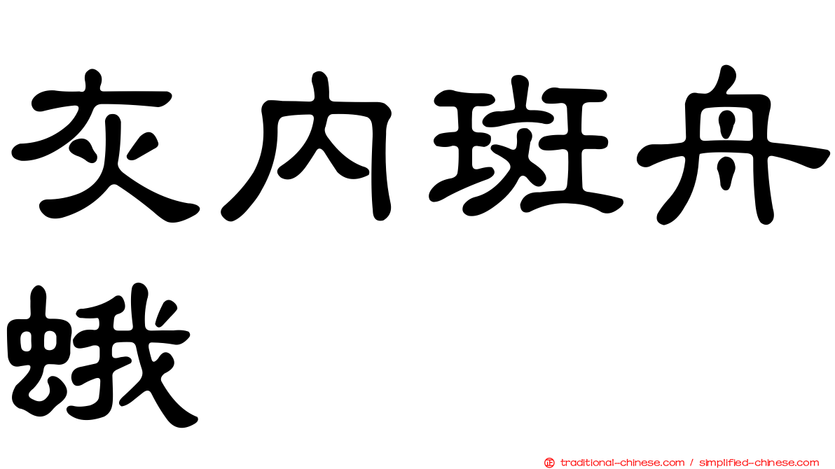 灰內斑舟蛾
