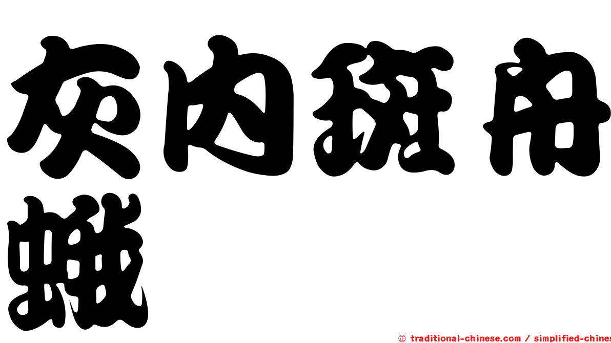 灰內斑舟蛾