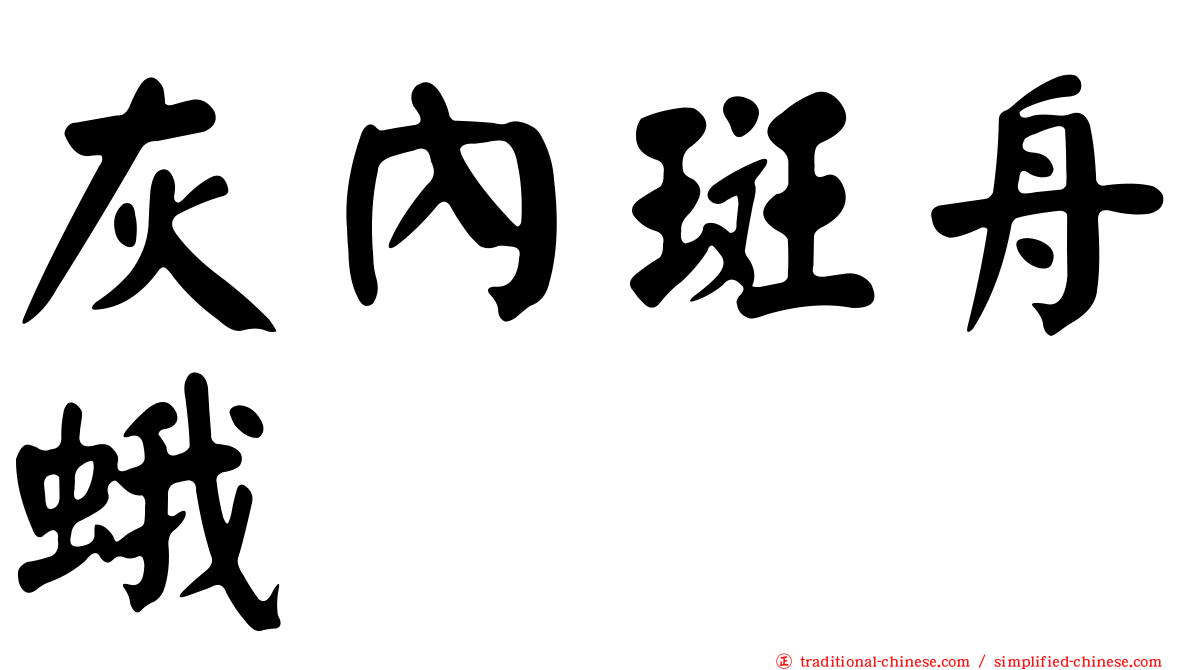 灰內斑舟蛾